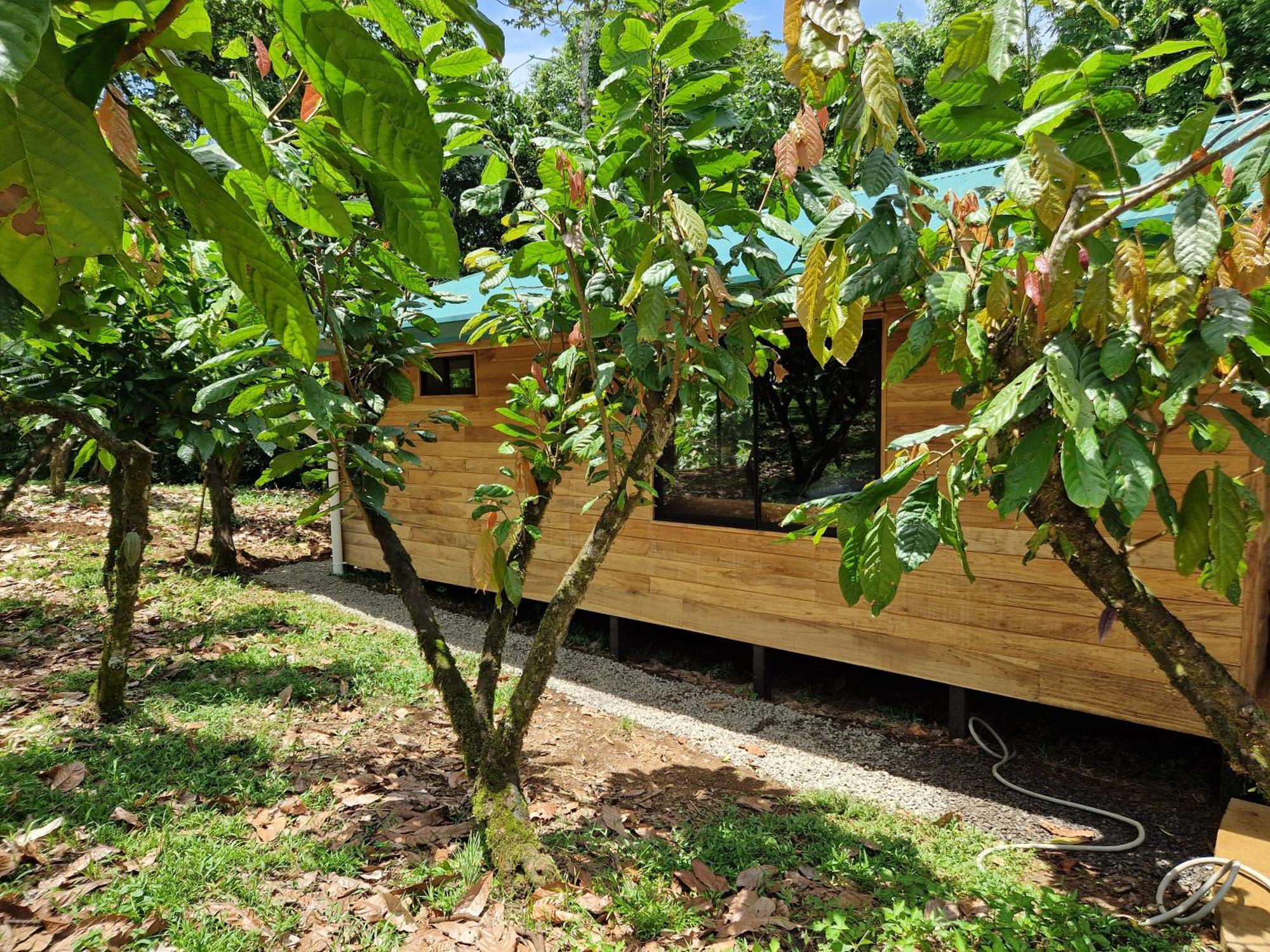 Finca Amistad Cacao Lodge Bijagua Exteriör bild