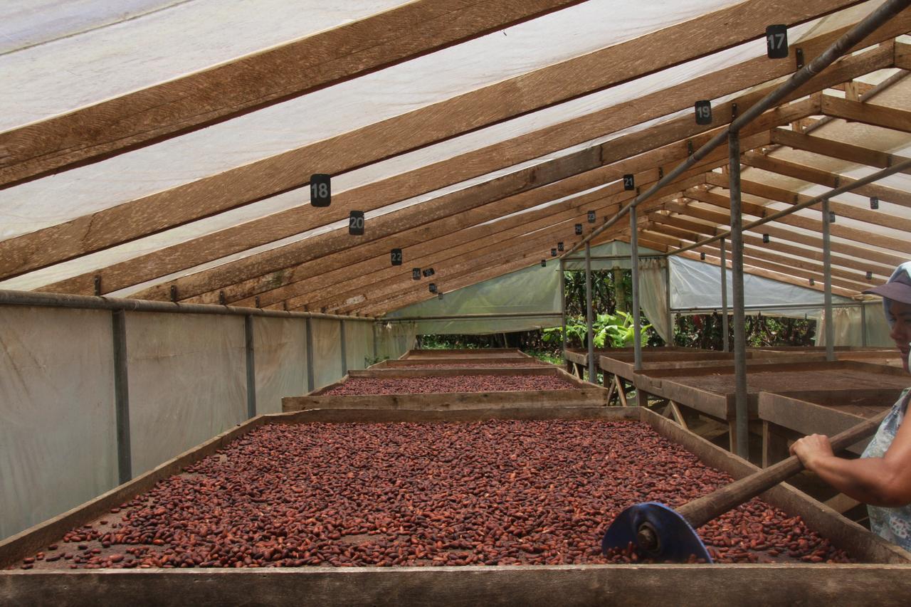 Finca Amistad Cacao Lodge Bijagua Exteriör bild