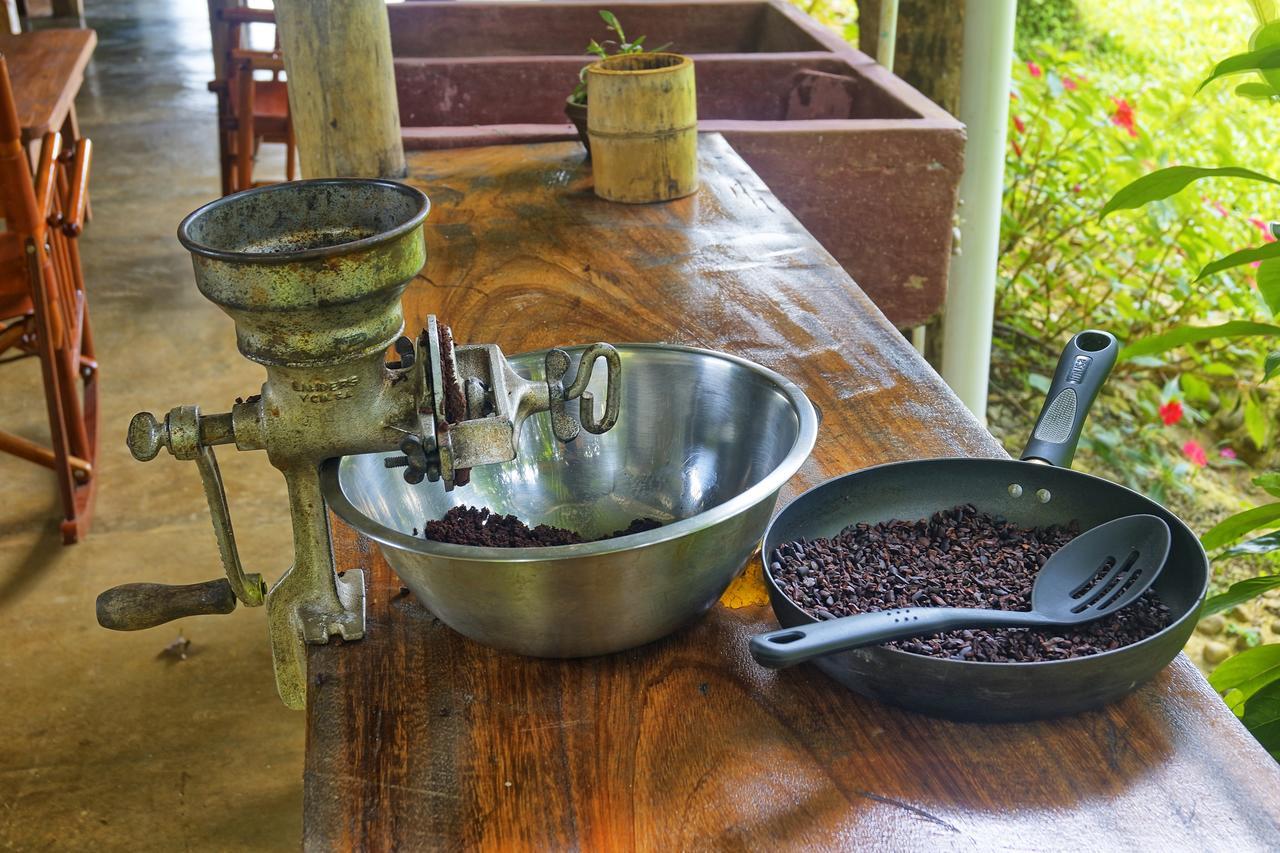 Finca Amistad Cacao Lodge Bijagua Exteriör bild