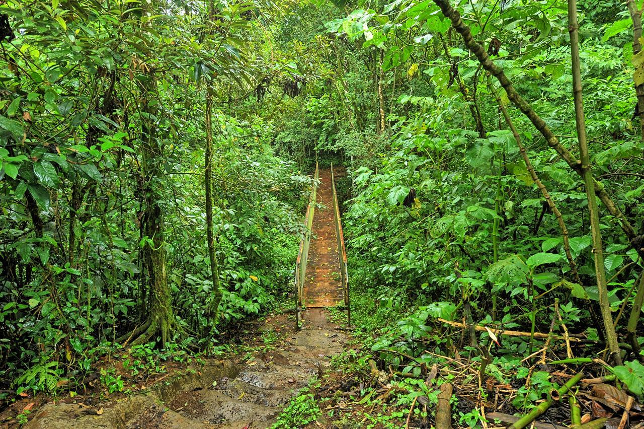 Finca Amistad Cacao Lodge Bijagua Exteriör bild