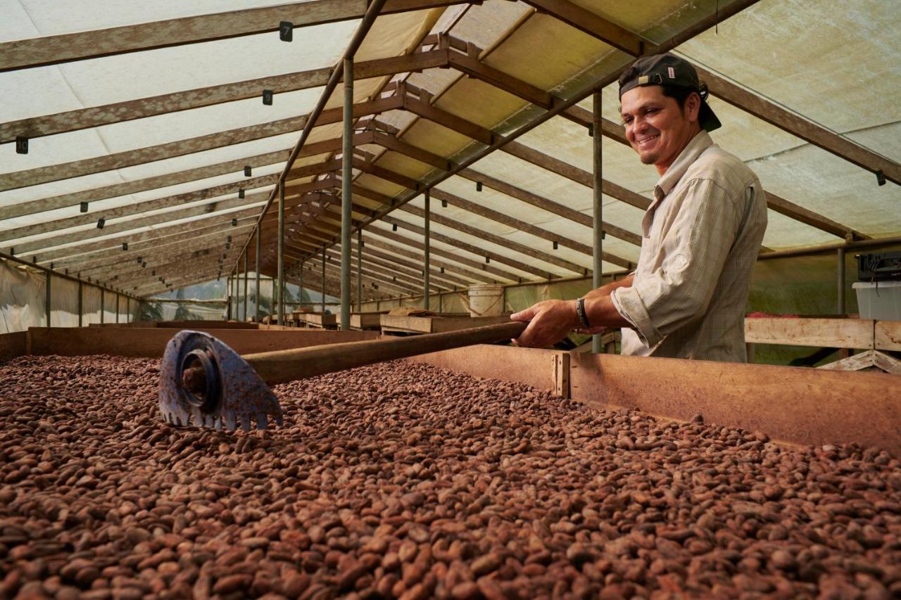 Finca Amistad Cacao Lodge Bijagua Exteriör bild